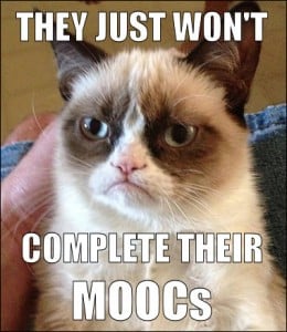 MOOC cat